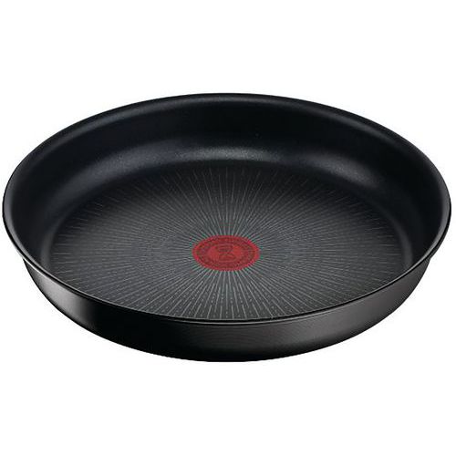 Tefal - Casserole TEFAL Ingenio Eco Resist 20 cm