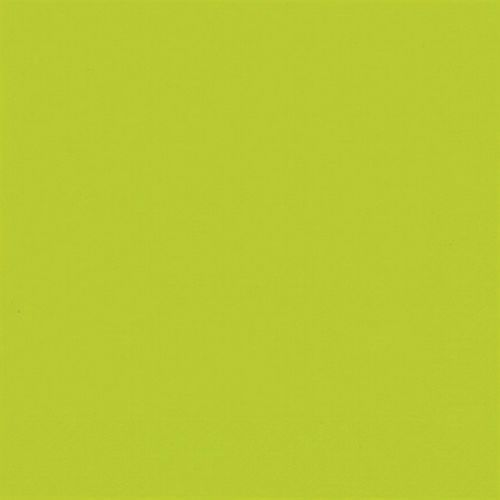 Serviette Ouate 33x33cm 3 Plis X20 Kiwi