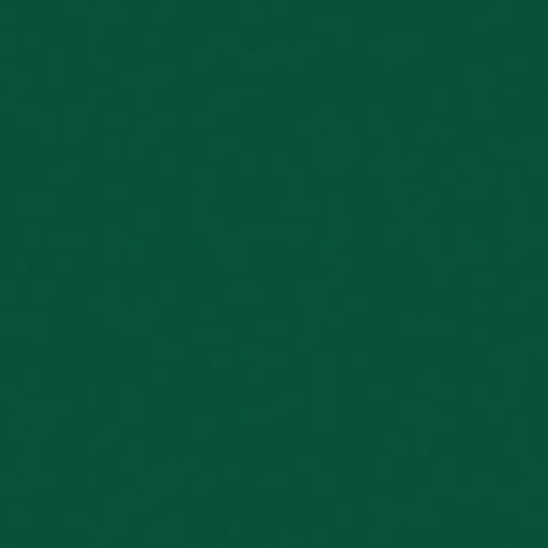 Serviette Dunilin 40x40cm 4 Plis X12 Vert Foncé