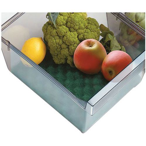 Base Conservante Pour Bac Frigo 47x30cm