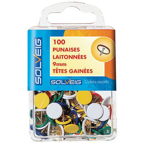 Boite de 100 Punaises à tête plate - Pointe 6 mm thumbnail image 1