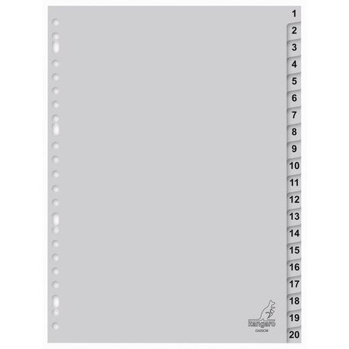 Intercalaire Numérique 1-20 Nb Div.:20 Pr Ft:a4
