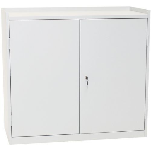 Armoire +rebords H91xp50xl100 2tabl+2tir Sur Socle Gris
