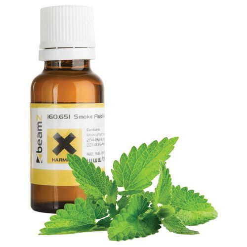 Bouteille Arôme Menthe Fsma-m Pour Machine à Fumée