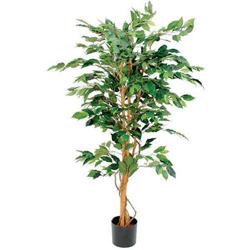 Plante Artificielle Ficus Benjamina Vert Hauteur 150cm