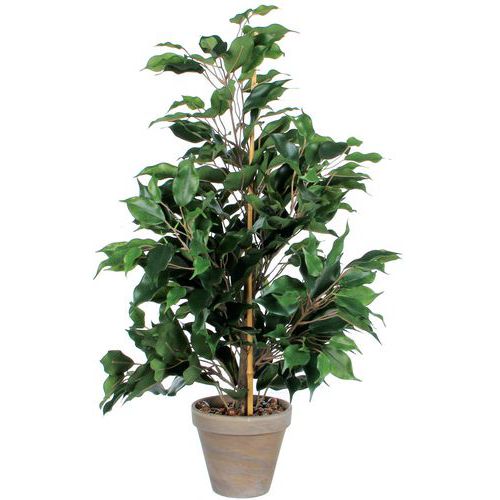 Plante Artificielle Ficus Exotica Vert Hauteur 65 Cm