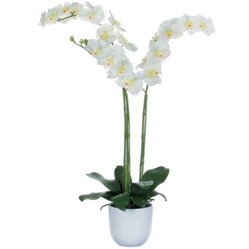 Phalaenopsis orchidée 100 cm_Vepabins Phalaenopsis orchidée 100 cm_Vepabins