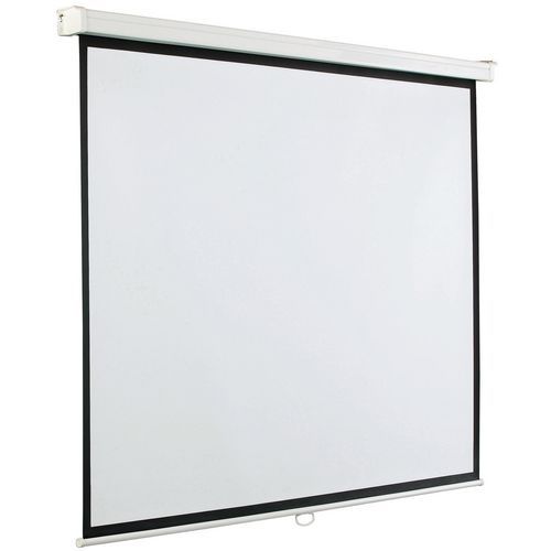 Ecran De Projection Mural Manuel 193x300