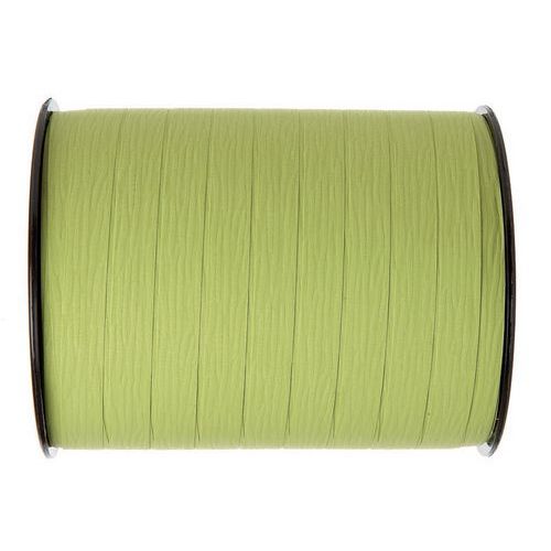 Bolduc Mat Anis Longueur 250 M Largeur 10mm