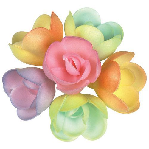 Décors Commestibles Rose Pastel 6 Coloris Non