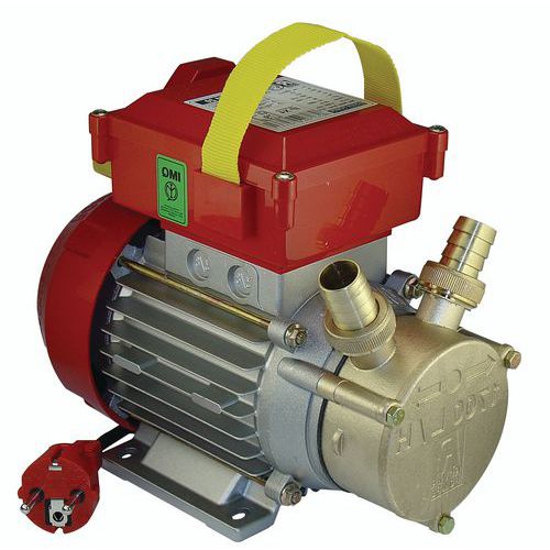 Pompe De Transfert 1700l/h A Moteur 220v