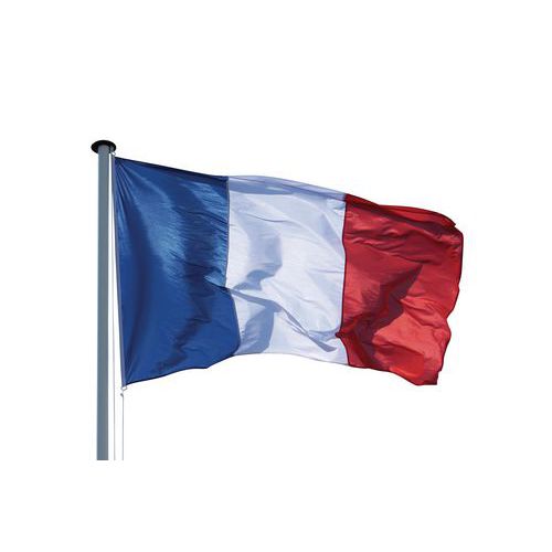 Pavillon Francais 100x150cm