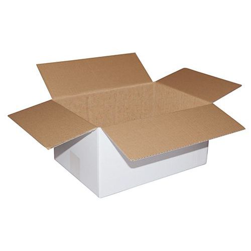 Lot de 25 - Boîte Carton Blanc H Ext.:162 L Ext.:221