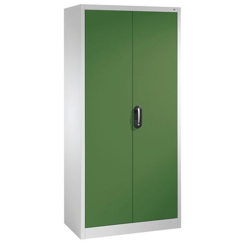 Armoire à Outils à Portes Battantes Gris Et Vert P500mm