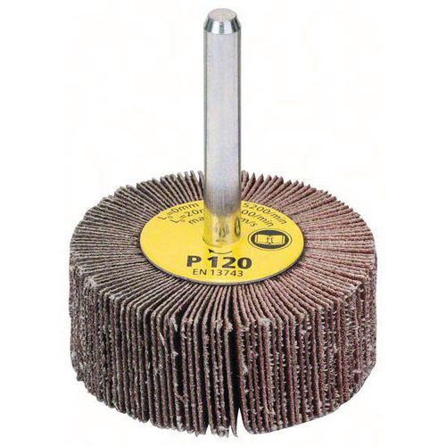 Bosch 1 Roues à Lamelles Au Corindon