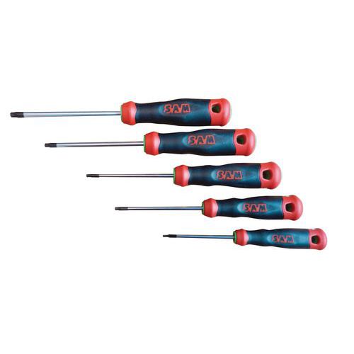 Tournevis S1 Torx Jeu De 5 _ T-xj5