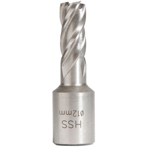 Sidamo - Fraise HSS H25MM Weldon 19mm - Acier - Perçage Ø maxi 12mm - Emballage recyclable
