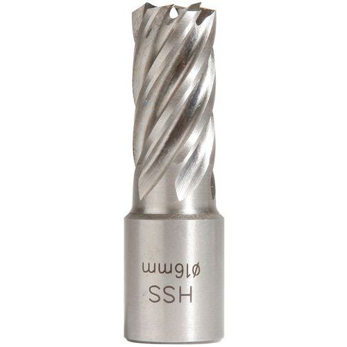 Sidamo - Fraise HSS Weldon 19mm H25mm - Acier - Perçage Ø maxi 16mm - Emballage recyclable
