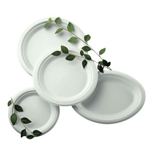 Assiette jetable : Assiettes plastique & carton jetables