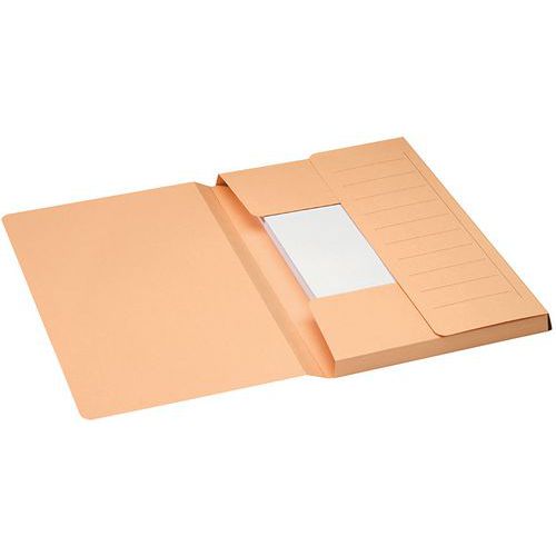 Dossier Mammouth Secolor Chamois