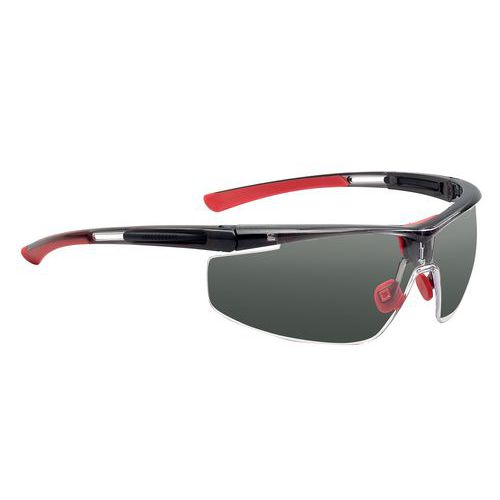 Lunettes Adaptec Standard Fumé