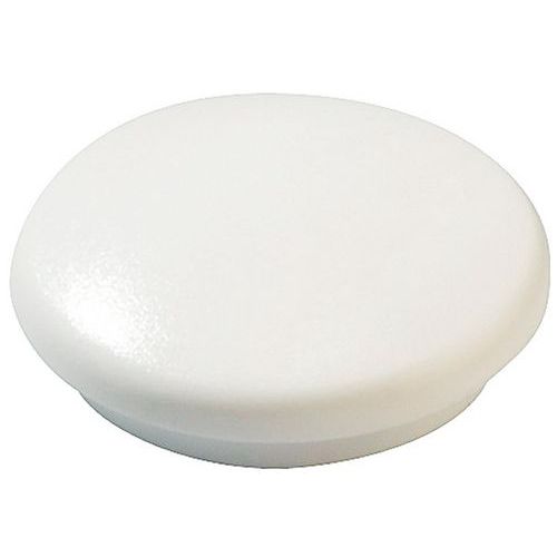Aimant Diametre 12 Mm Coloris Blanc