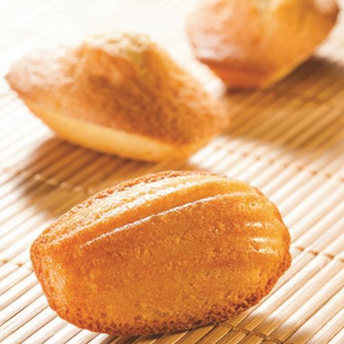 Flexipan Gn 1/1 Madeleines 27 Empreintes_336 517