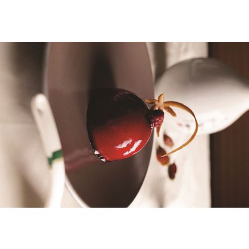 Flexipan Gn 1/1 Demi-sphères 104 Empreintes_336 500