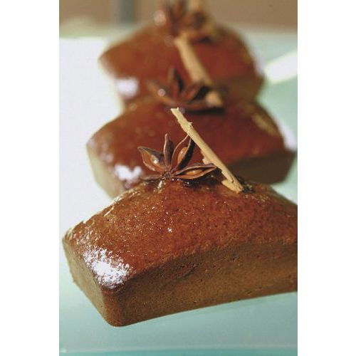 Flexipan Gn 1/1 Lingots 16 Empreintes_336 606