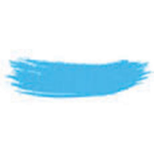 Colorant Alimentaire Poudre Bleu Métal 25g_410174