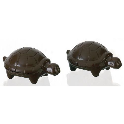 Plaque 2 Tortues 4 Empreintes_382043