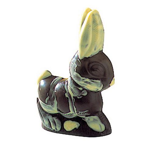 Moule Lapin Longueur 180mm 2 Empreintes_382013