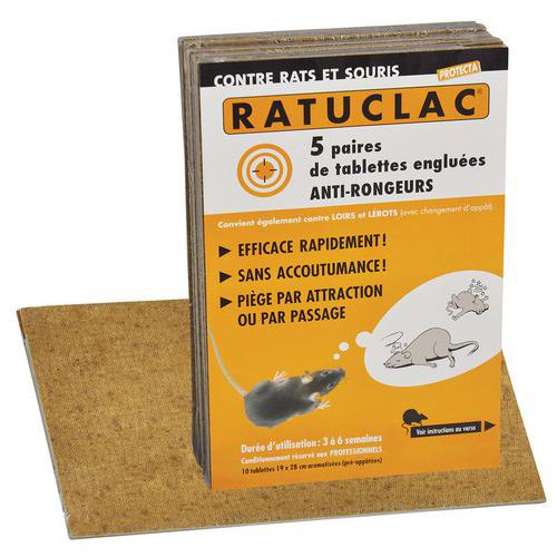 Pack 4 Classic Métal Piège à souris souris rongeurs Pest Control extérieure et intérieure