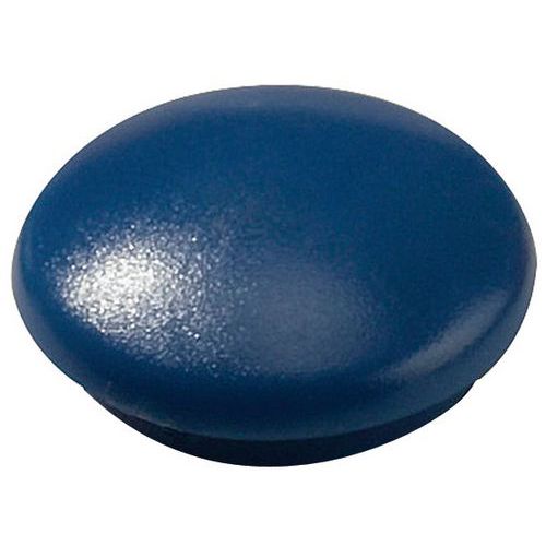 Aimant Diametre 12 Mm Coloris Bleu