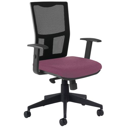 Siège Ritz Dos Résil Nr Ac. Réglabl Sans Régla. Lomb Violin