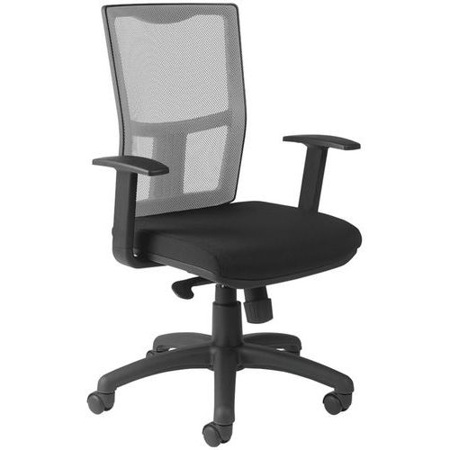 Siège Ritz Ass. Nr Ac. Fixes Sans Régla. Lomb Résil Gris Cl