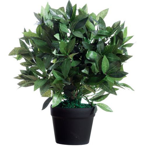 Plante artificielle Laurier Plante artificielle Laurier