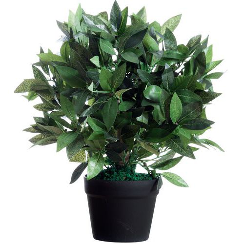 Plante Artificielle Laurier H : 50cm