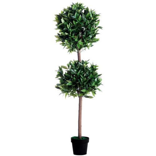 Plante Artificielle Laurier H : 165cm