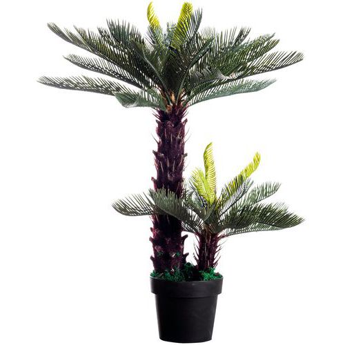 Plante Artificielle Cycas H : 80cm