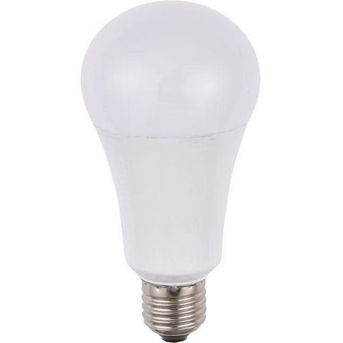 Ampoule Led Gls A60x115 1500 Lm 15w Opale