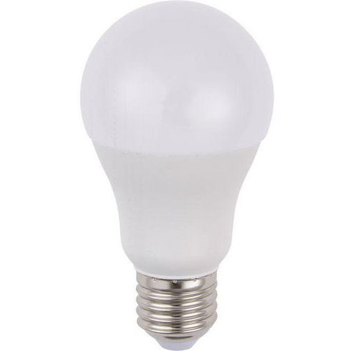 Ampoule Led Standard A60x114 E27 10w 810 Lm