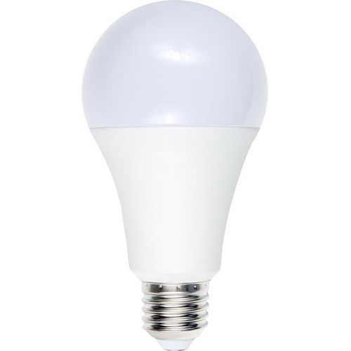 Ampoule Led Standard A70x140 E27 12w 1100 Lm
