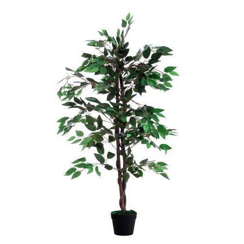 Plante Artificielle Ficus H : 120cm