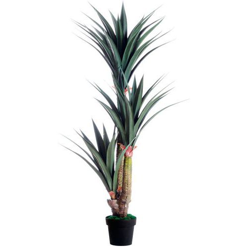 Plante Artificielle Yucca H : 155cm