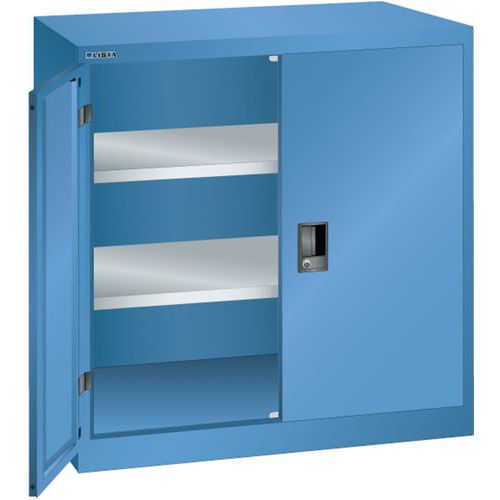 Armoire Bleu Cap. 1000x500x1000 Avec 2 Rayons Amo.