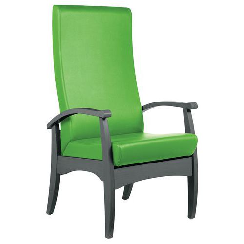 Sunset Creation - Fauteuil de repos Realty Abaka Olive - Hêtre Anthracite - Assise Mousse Vert - 120kg Max - 5 Ans Garantie