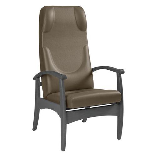 Fauteuil Repos Ergo. Grand Large Ginkgo Terre - Anthracite