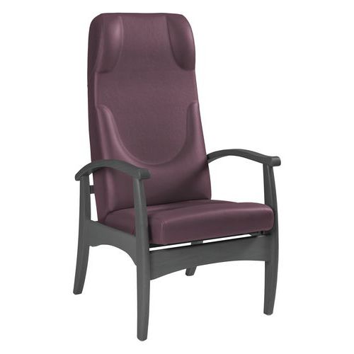 Fauteuil Repos Ergo Grand Large Ginkgo Quetsche - Anthracite