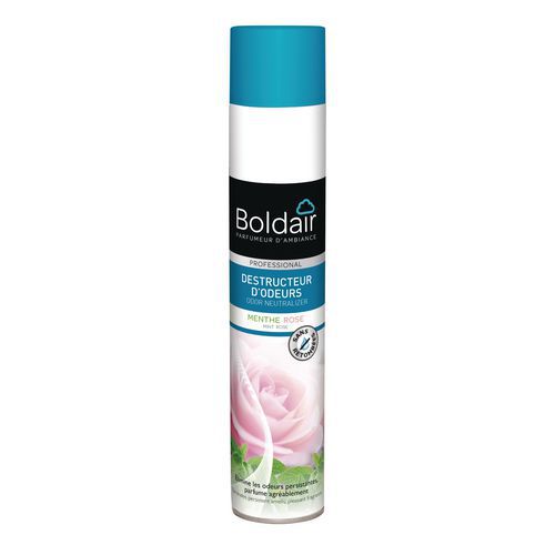 Boldair Destructeur D'odeurs Menthe Rose